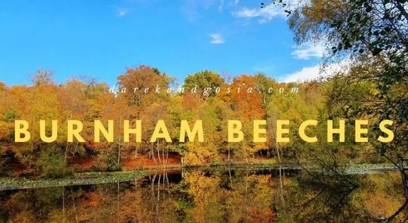 NEW - Stylish 2 bed, Farnham Common - Image 1