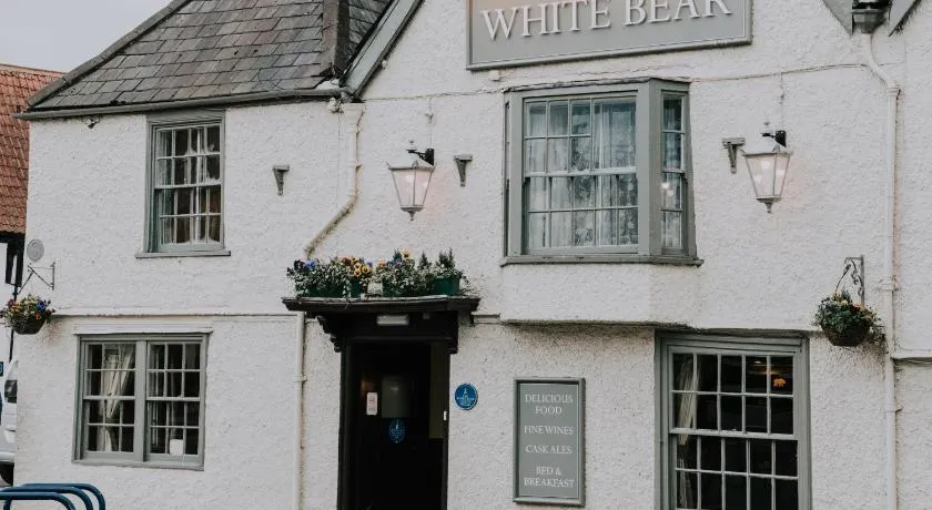 The White Bear - Image 1