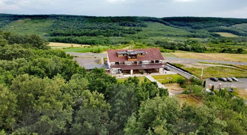 MARADA felix - Image 1