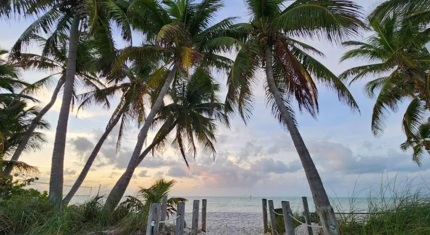 High Tide in Key West - Image 1
