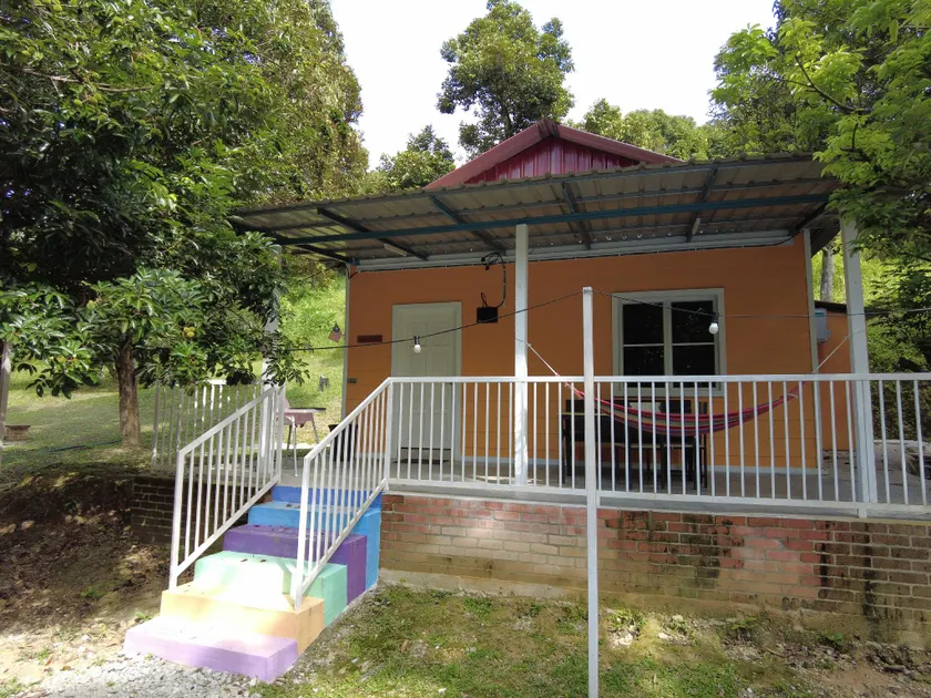 Durio Cottage Black Thorn - Image 1