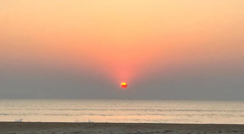 Arabian Breeze - Image 1