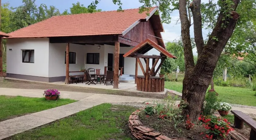 Dumbrava Minunată - Image 1