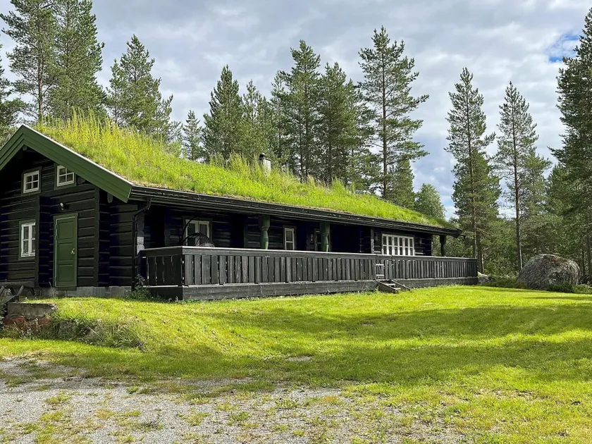 5 stjernet sommerhus i Hemsedal-By Traum - Image 1