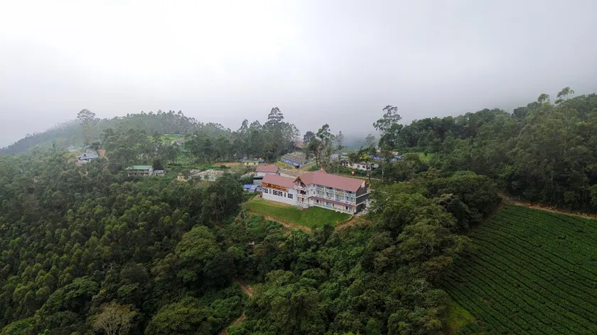 Tea Tree Munnar - Image 1