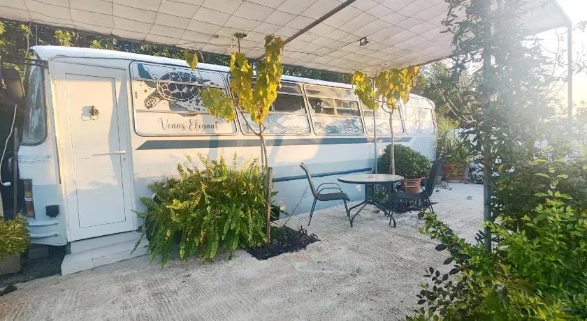 Venus Elegant - Getaway Bus - Image 1