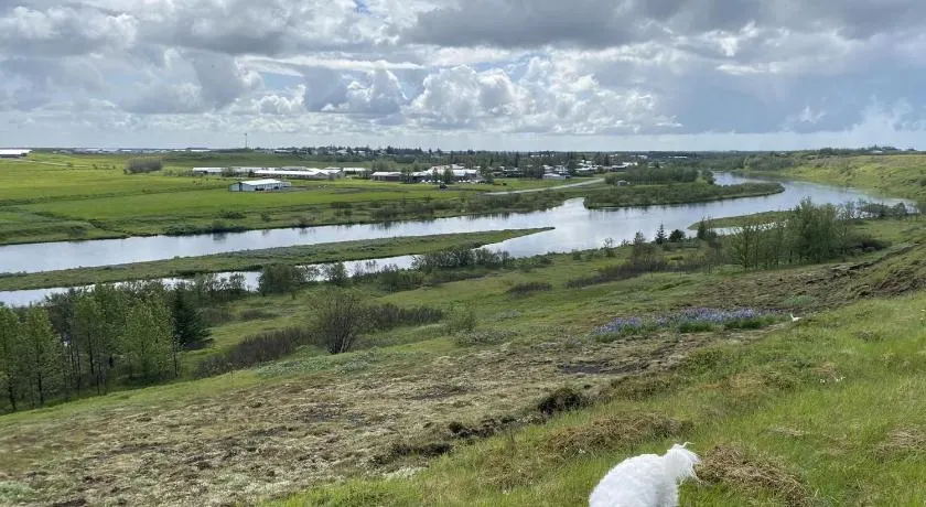 Ugla Gistihús (Ugla Guesthouse) - Image 1