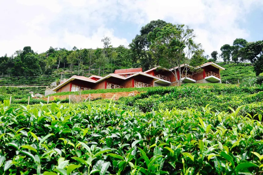 Hanging Huts Resorts - Image 1