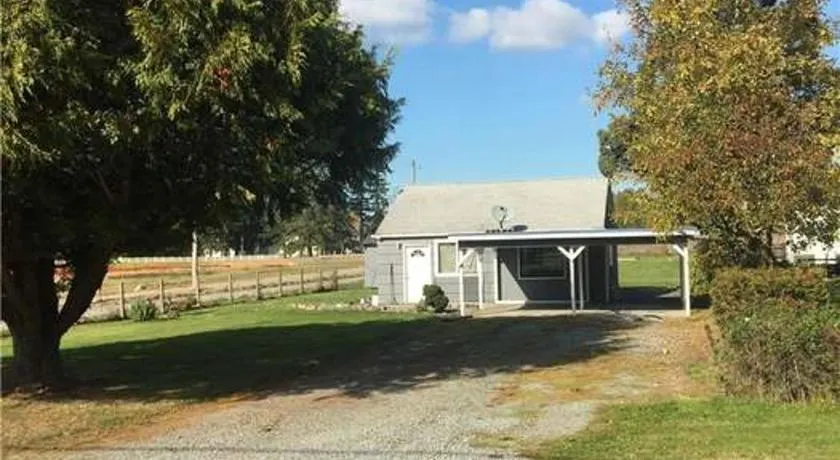 The basics in Edgewood - Image 1