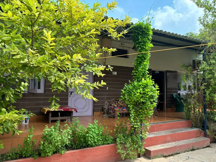 Jungle Lodge - Image 1
