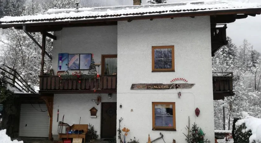 Haus Mühlbichl - Image 1