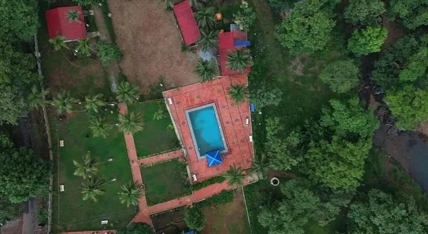wild paradise jungle homestay - Image 1