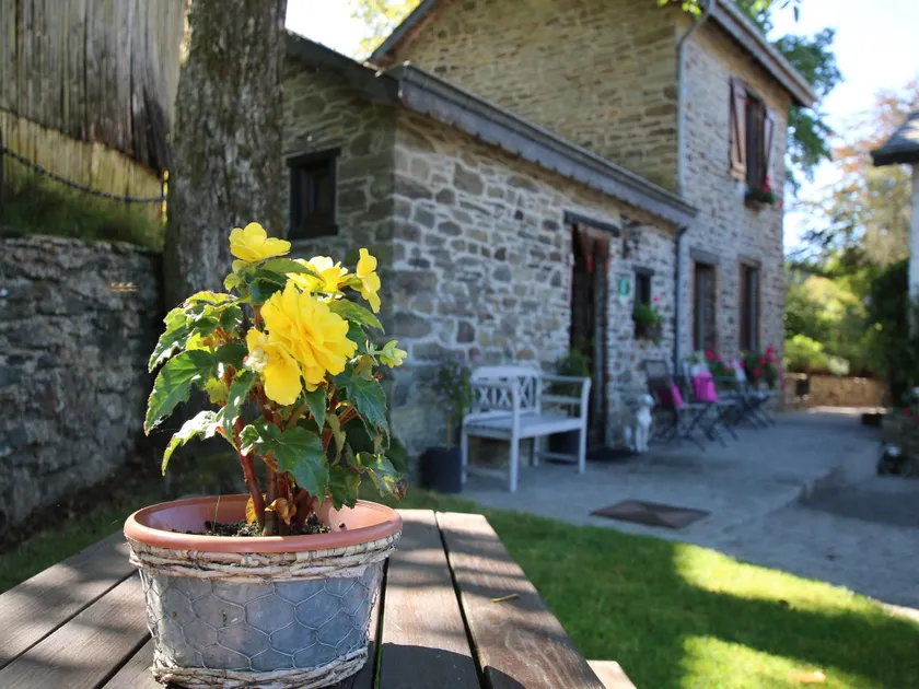 Forest Hideaway, Baillamont - Image 1
