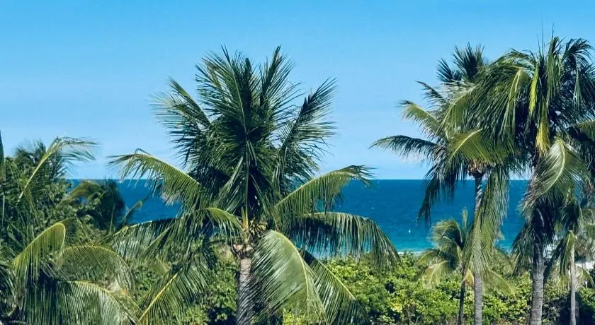 Sunrise Penthouse ocean view terrace beach few steps away SOBE - Image 1