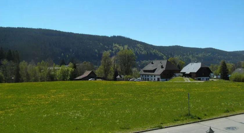 Hotel Rheingold Garni - Image 1