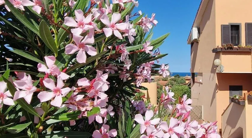 SU BISU Costa Rei R4991 wifi, terrace with sea view, 500m from the beach - Image 1