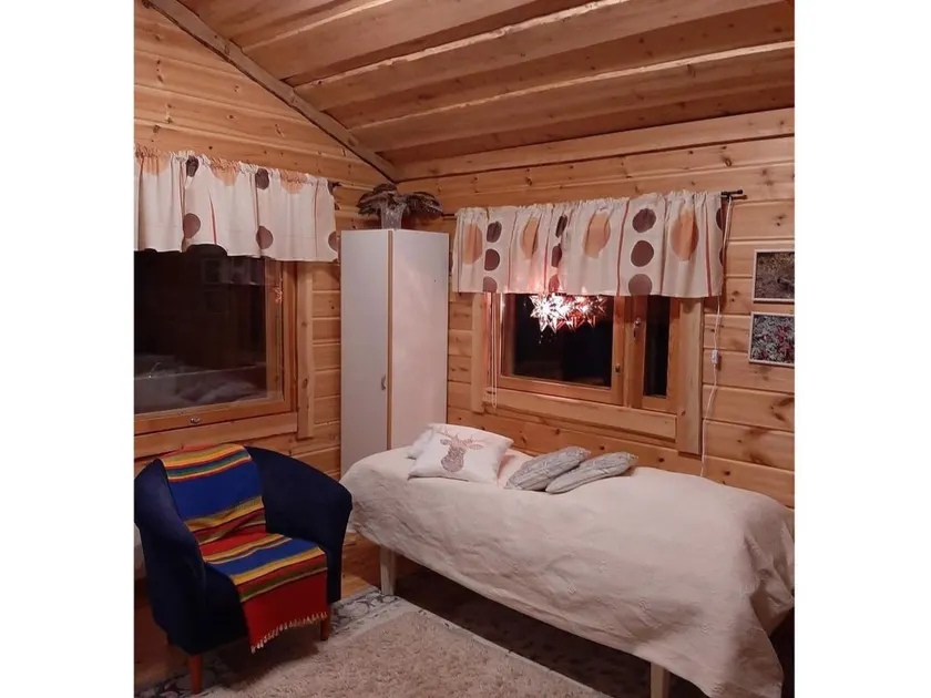 Pikkupöllö - Image 1