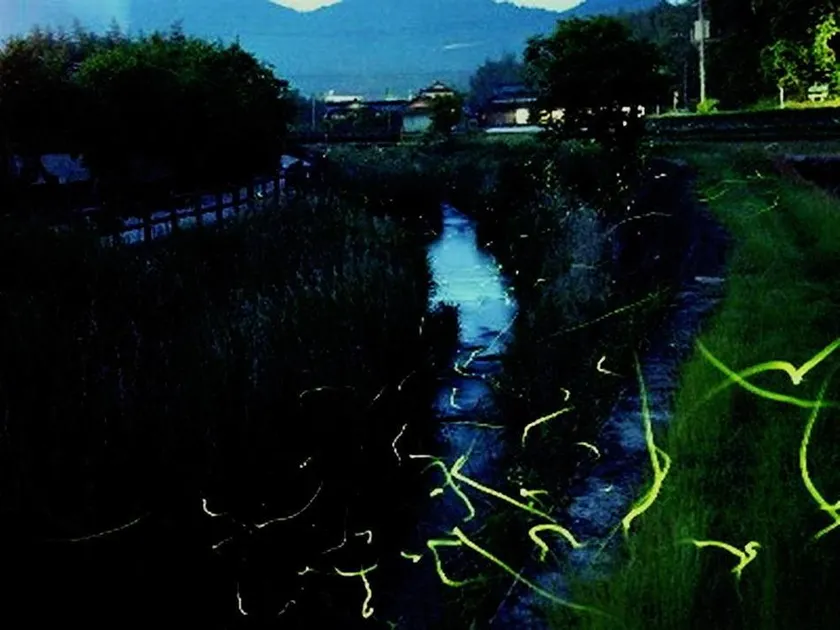 Yuno Onsen Hozanen - Image 1