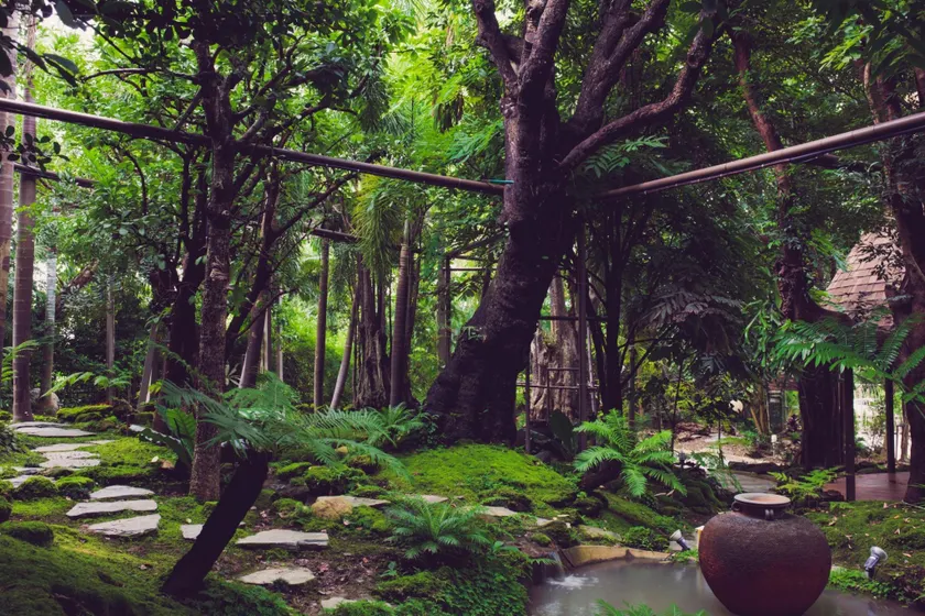 Treescape Resort Chiangmai - Image 1