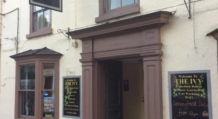 The Ivy - Image 1