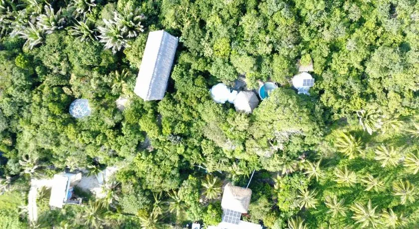 New Ruins Off-The-Grid SuperAdobe Domes with Pool - Image 1