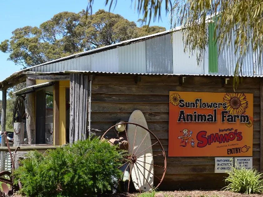 Sunflowers Animal Farm and Farmstay Guest House - Image 1