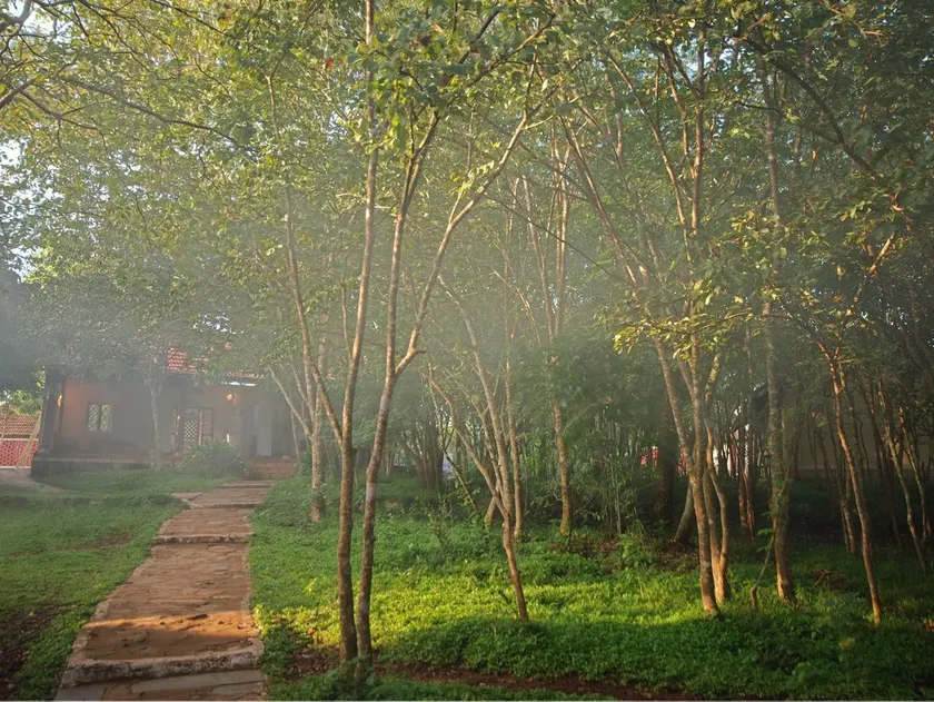 The Windflower Jungle Resorts & Spa Bandipur - Image 1