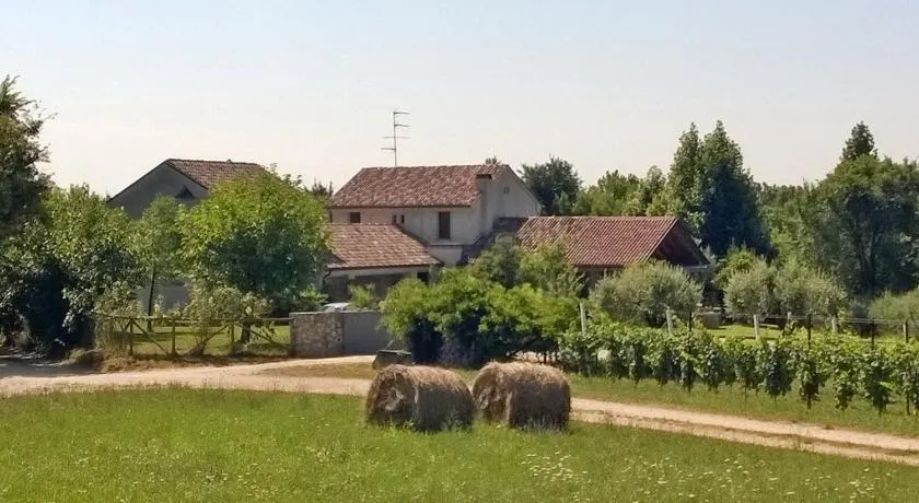 Il giuggiolo - Image 1