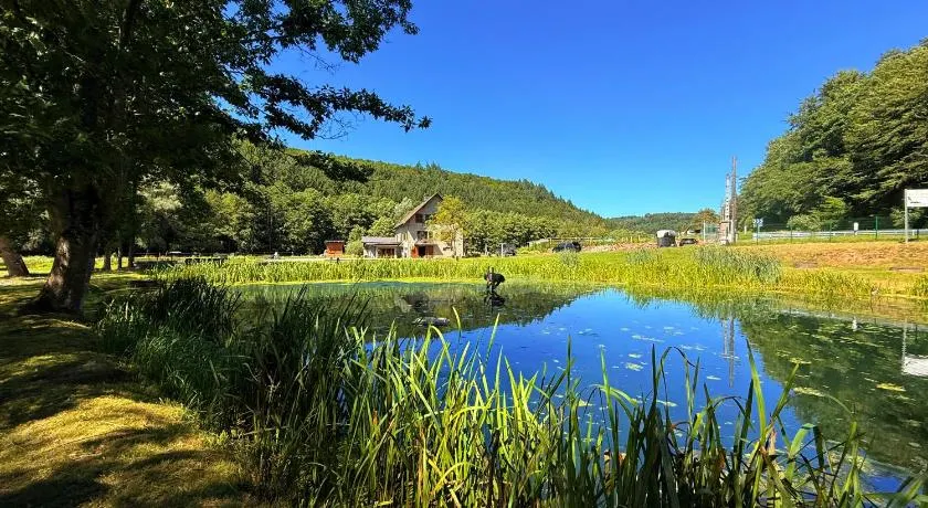 Maison d'hôtes en pleine nature avec chevaux - Image 1