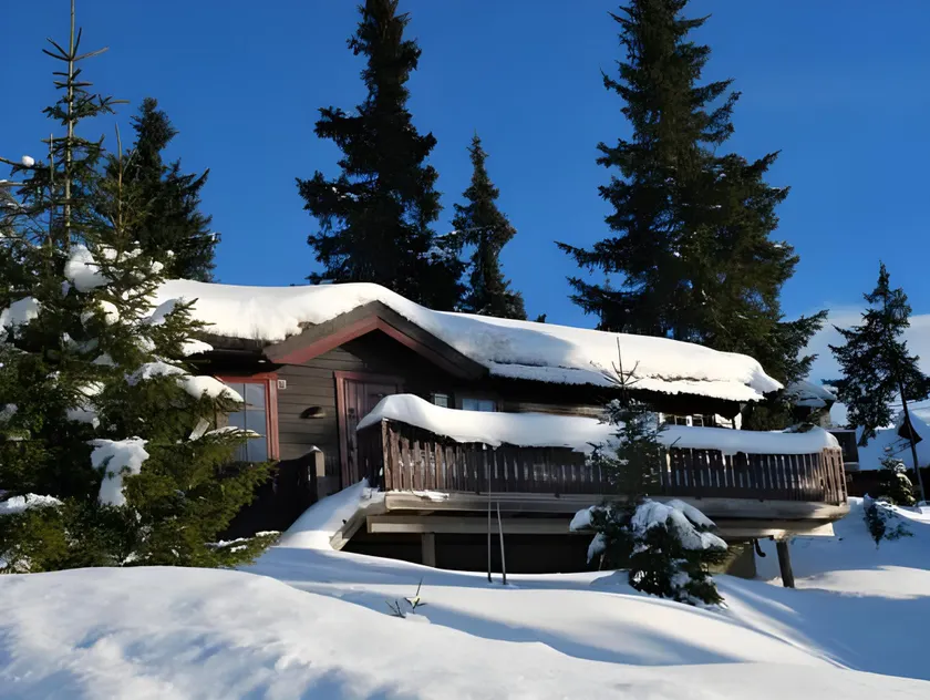 Nordseter Fjellpark, Hyttegrend - Image 1