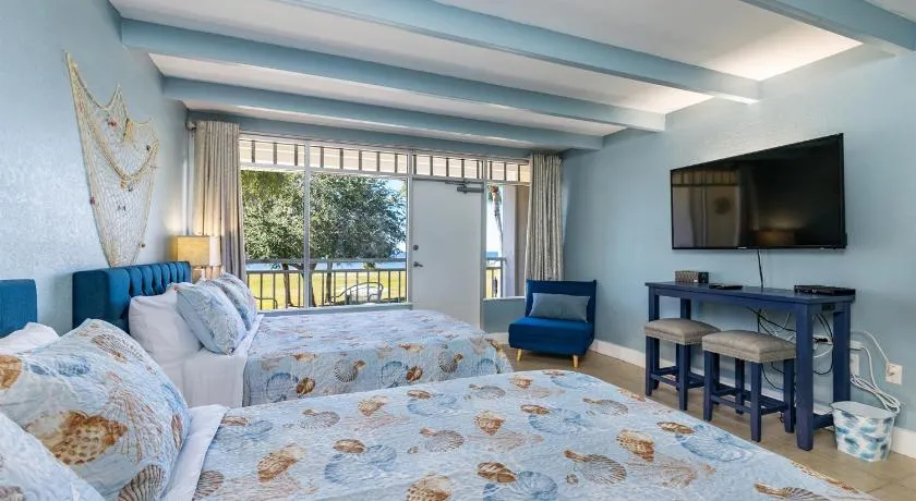 Come Stay Where the Dolphins Play! - Image 1