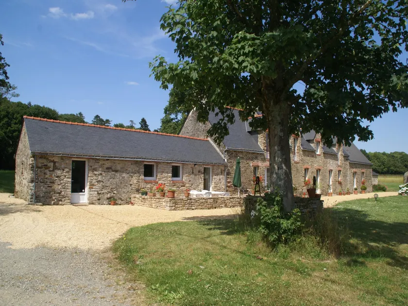 Spacious holiday home with fenced pond - Image 1