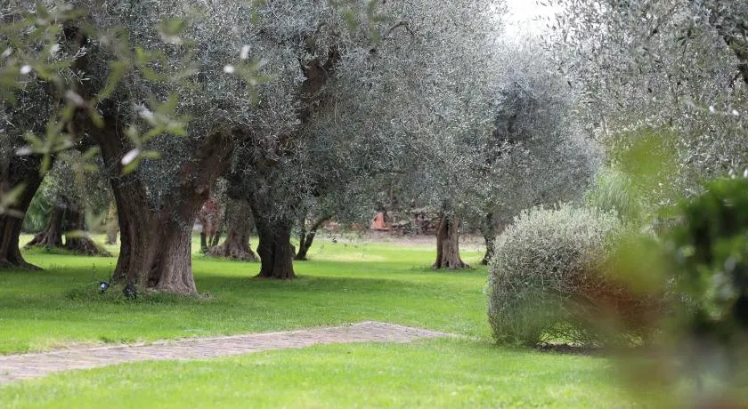 Isola degli Ulivi - Image 1