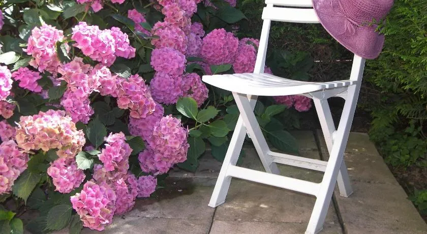 LES HORTENSIAS - Image 1