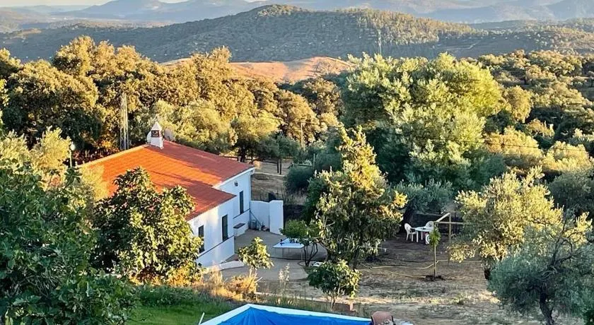 La mimosa - Image 1