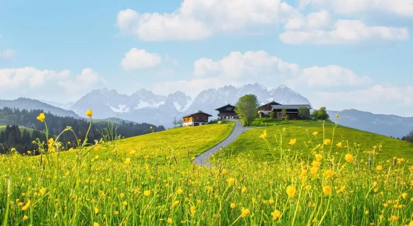Yogahof Kitzbühel - Boutique Alpine Hideaway - Image 1