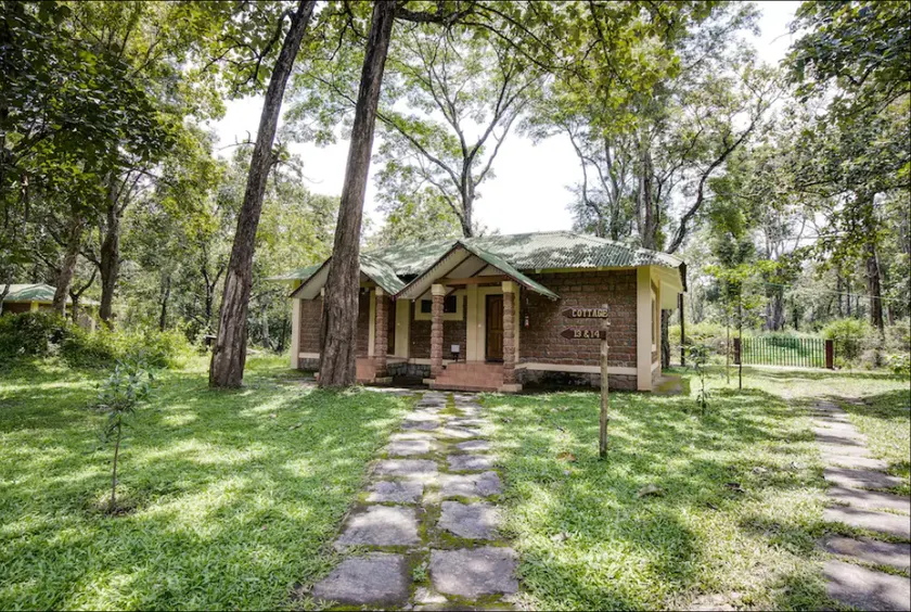 Dubare Elephant Camp-Jungle Lodges - Image 1