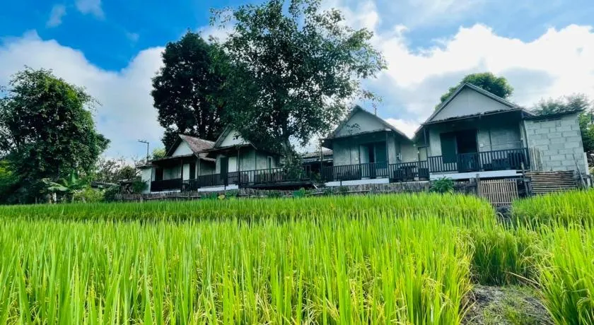 KraThom Doi Luang - Image 1