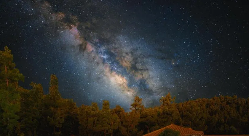 La Palma Wild Life - Image 1