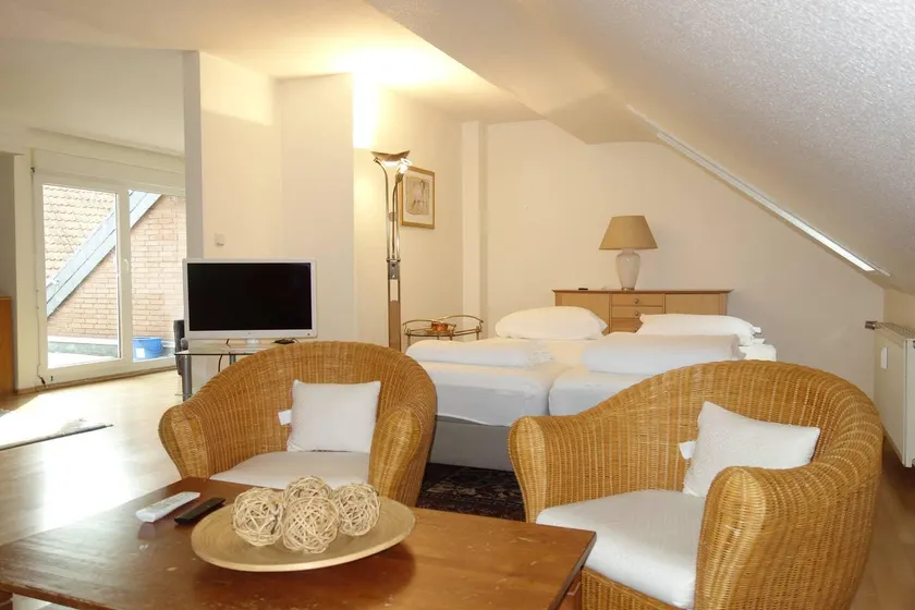 Tolstov-Hotels Generous 3 Room Apartment - Image 1