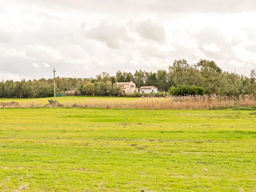 Homes in the Lagoons of Santa Giusta - Image 1