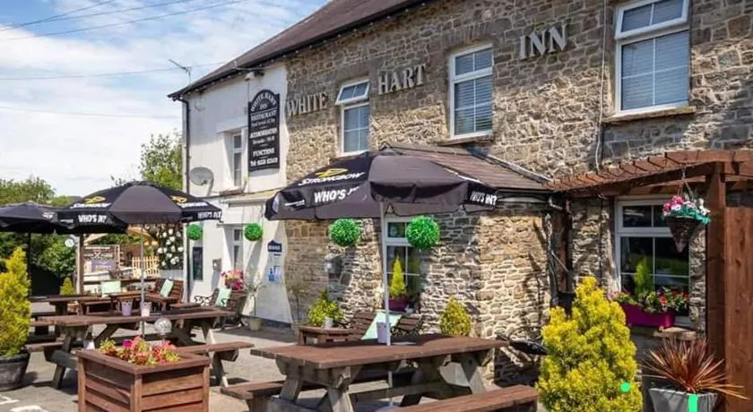 White Hart Llandeilo - Image 1