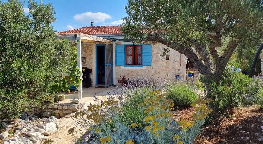 Robinson house Ruža - Image 1