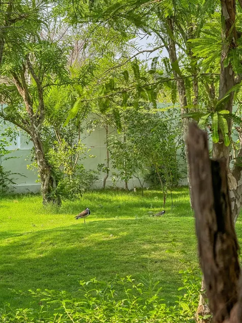 Farm with  swimming pool and 3bhk villa - Image 1