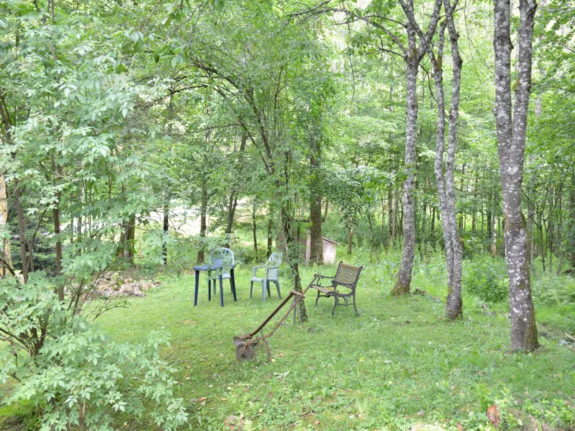 Cottage nel cuore dei boschi delle Ardenne - Image 1