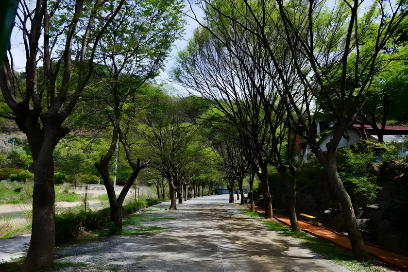 Riverside Forest Pension Camping - Image 1
