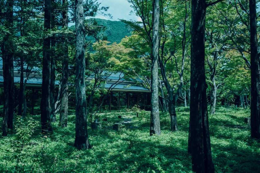 Hoshino Resorts KAI Kinugawa - Image 1