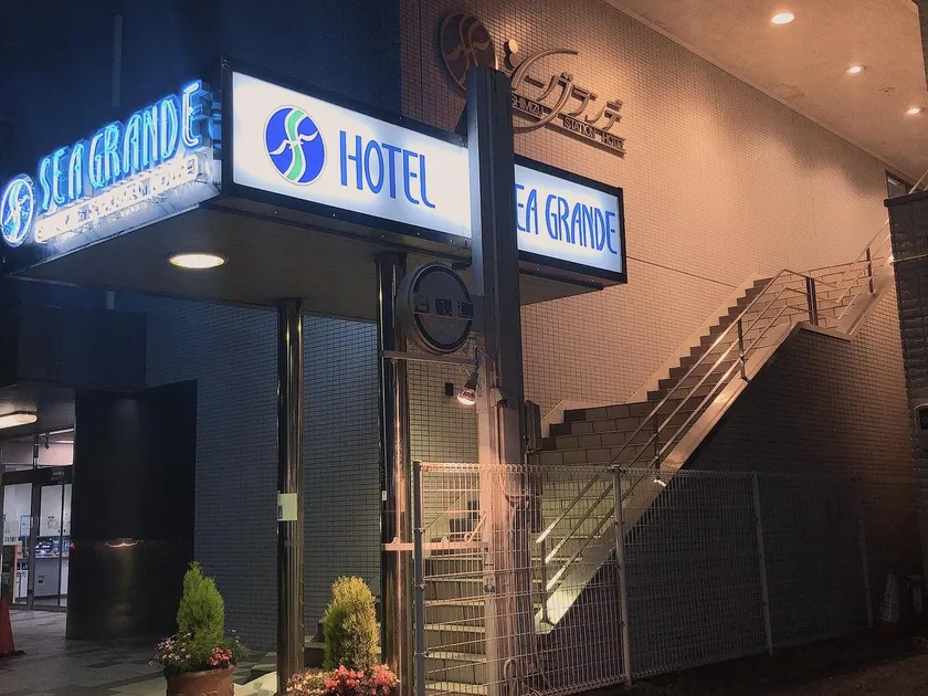 Seagrande Shimizu Station Hotel - Image 1
