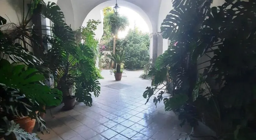 La casa delle Camelie - Image 1