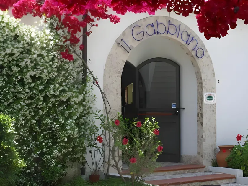Il Gabbiano - Image 1